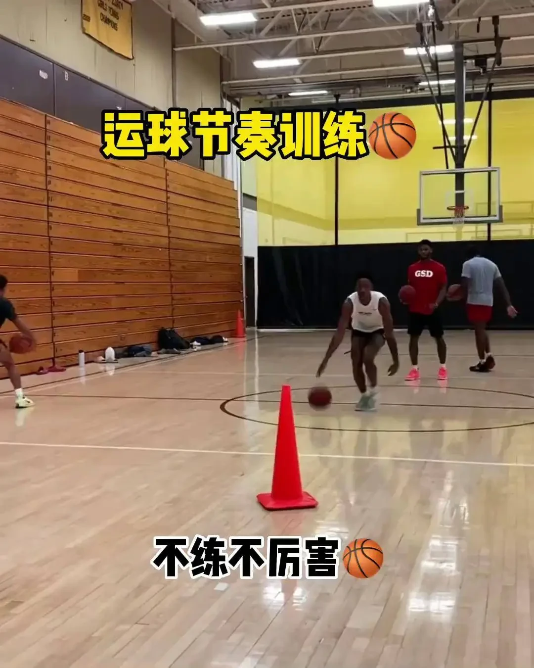 哪里有针对青少年的篮球声誉培养计划_1